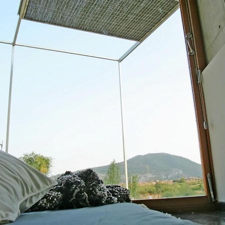 Centro De Agroecologia Y Medio Ambiente De Murcia Bullas Ngoại thất bức ảnh