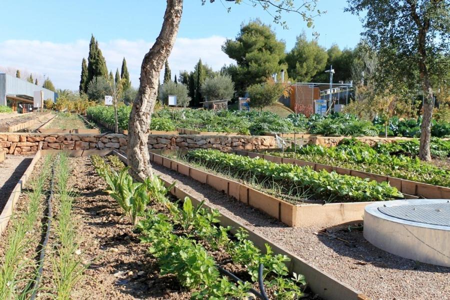 Centro De Agroecologia Y Medio Ambiente De Murcia Bullas Ngoại thất bức ảnh