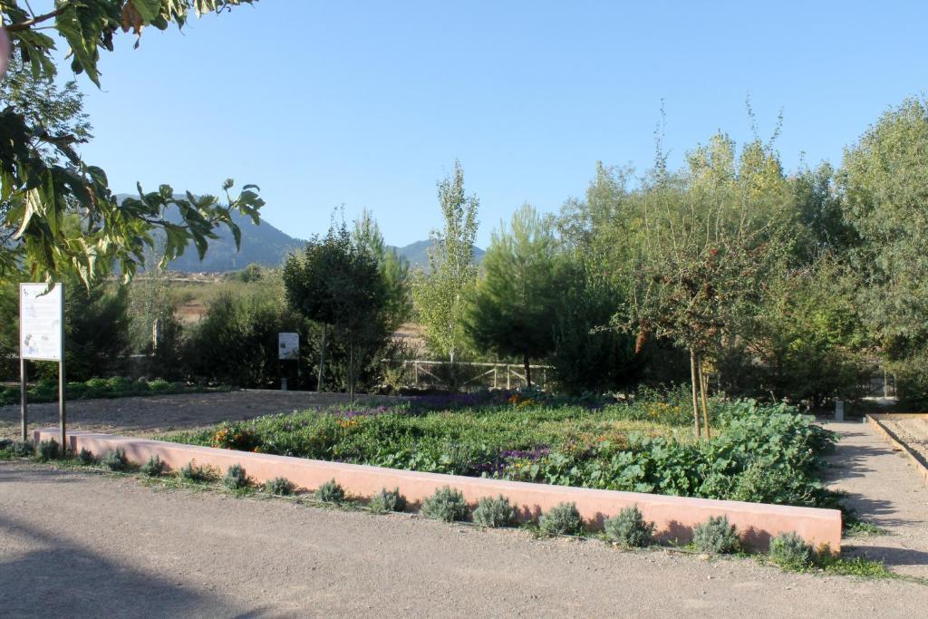 Centro De Agroecologia Y Medio Ambiente De Murcia Bullas Phòng bức ảnh