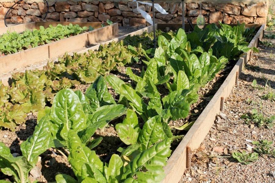 Centro De Agroecologia Y Medio Ambiente De Murcia Bullas Ngoại thất bức ảnh