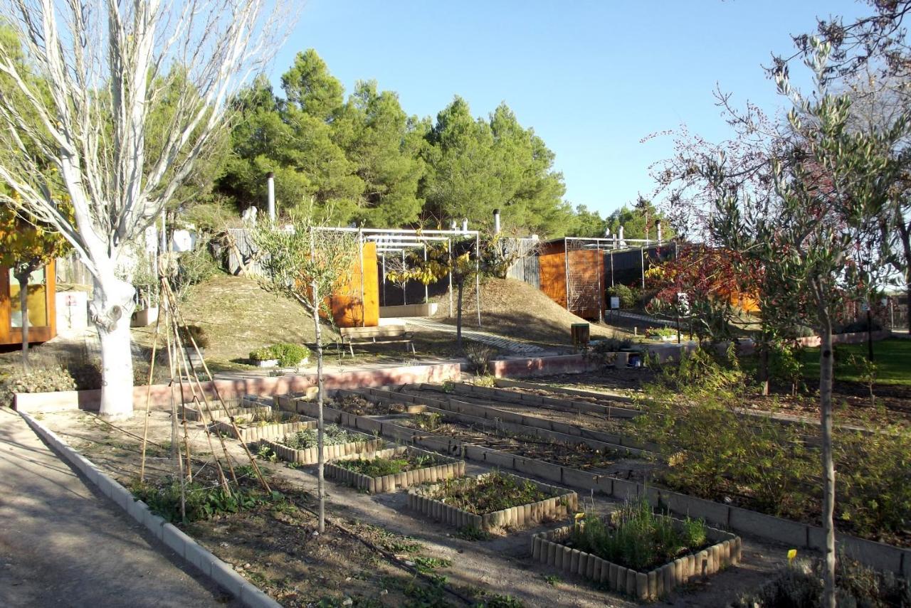 Centro De Agroecologia Y Medio Ambiente De Murcia Bullas Ngoại thất bức ảnh