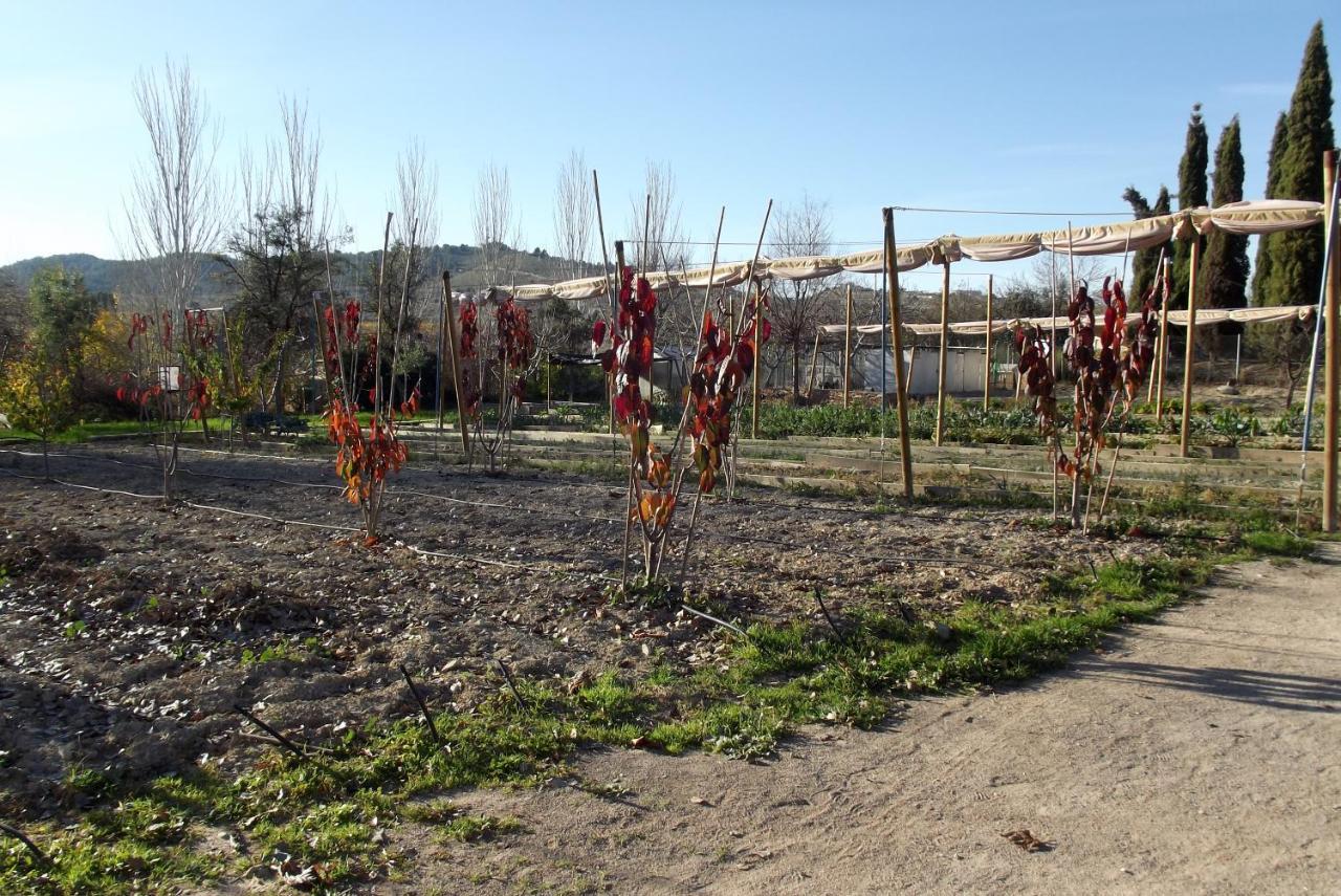 Centro De Agroecologia Y Medio Ambiente De Murcia Bullas Ngoại thất bức ảnh