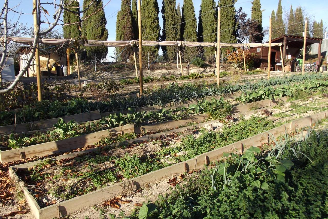 Centro De Agroecologia Y Medio Ambiente De Murcia Bullas Ngoại thất bức ảnh